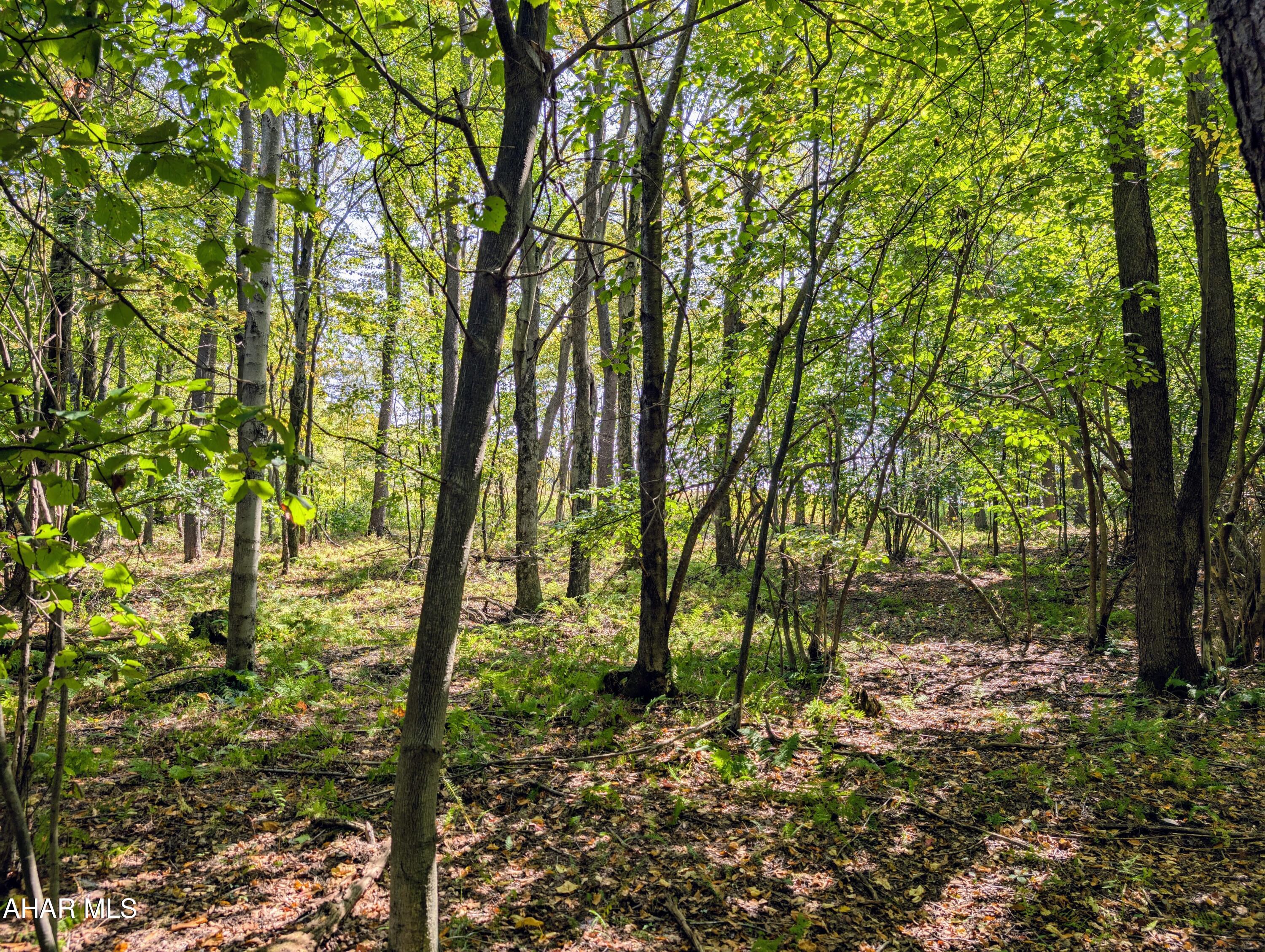 1849 Poplar Run Road Duncansville, PA 16635 - Photo 19 of 44 Gallery Image 19