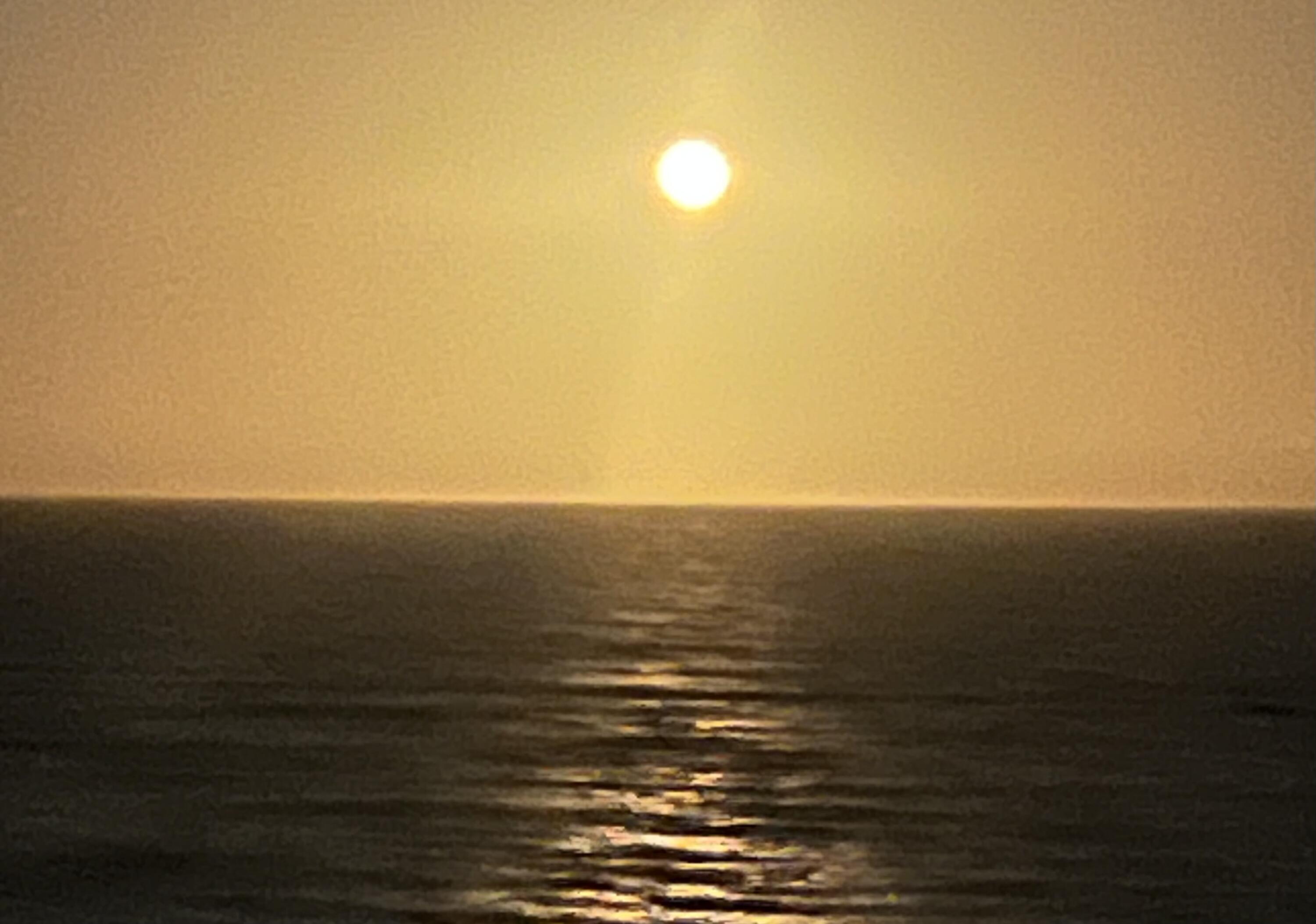 300 Ocean Trail Way, Unit 301 Jupiter, FL 33477 - Photo 42 of 64 IMG_2251