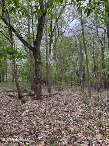 $87,500 | 150 County Road, Greenwood, MS 38930