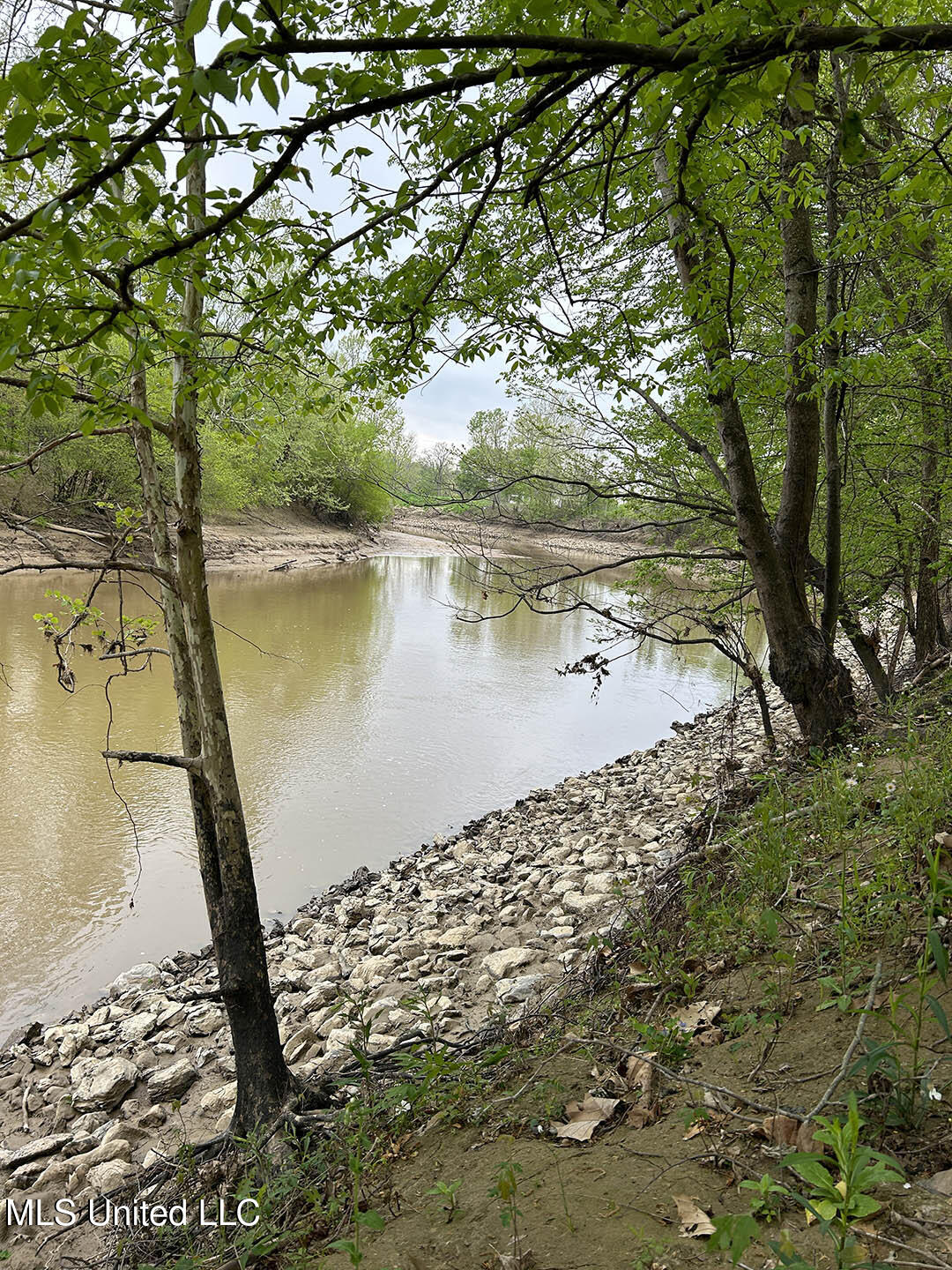 150 County Road Greenwood, MS 38930 - Photo 13 of 18 IMG_8687-1
