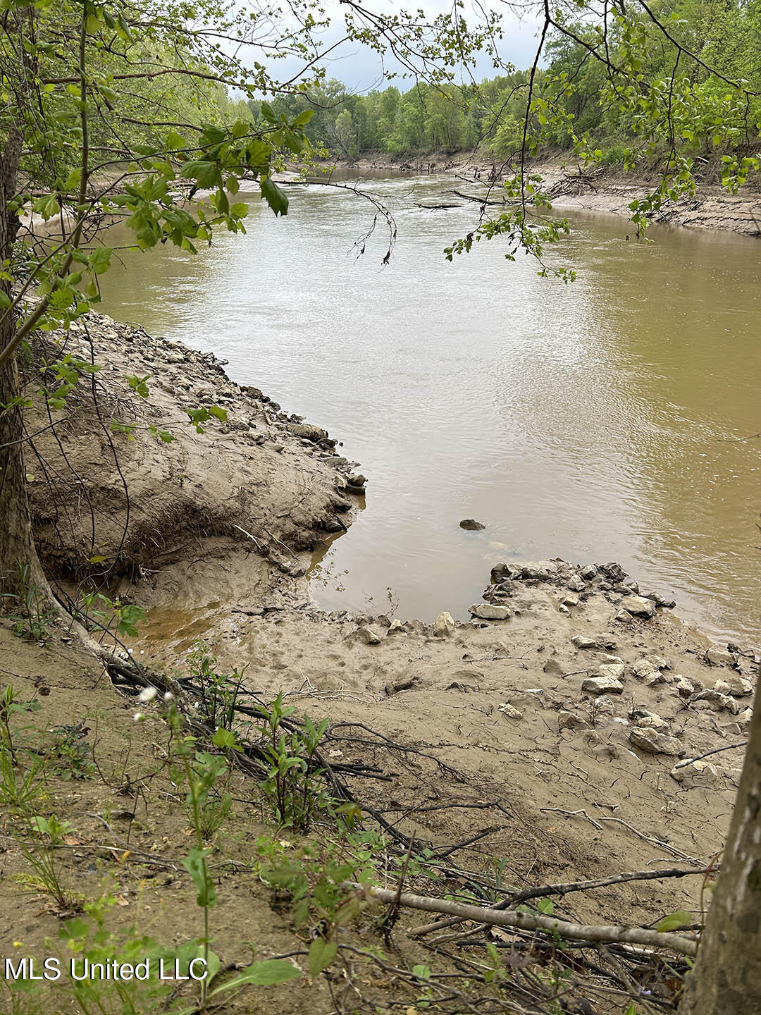 150 County Road Greenwood, MS 38930 - Photo 15 of 18 IMG_8691-1