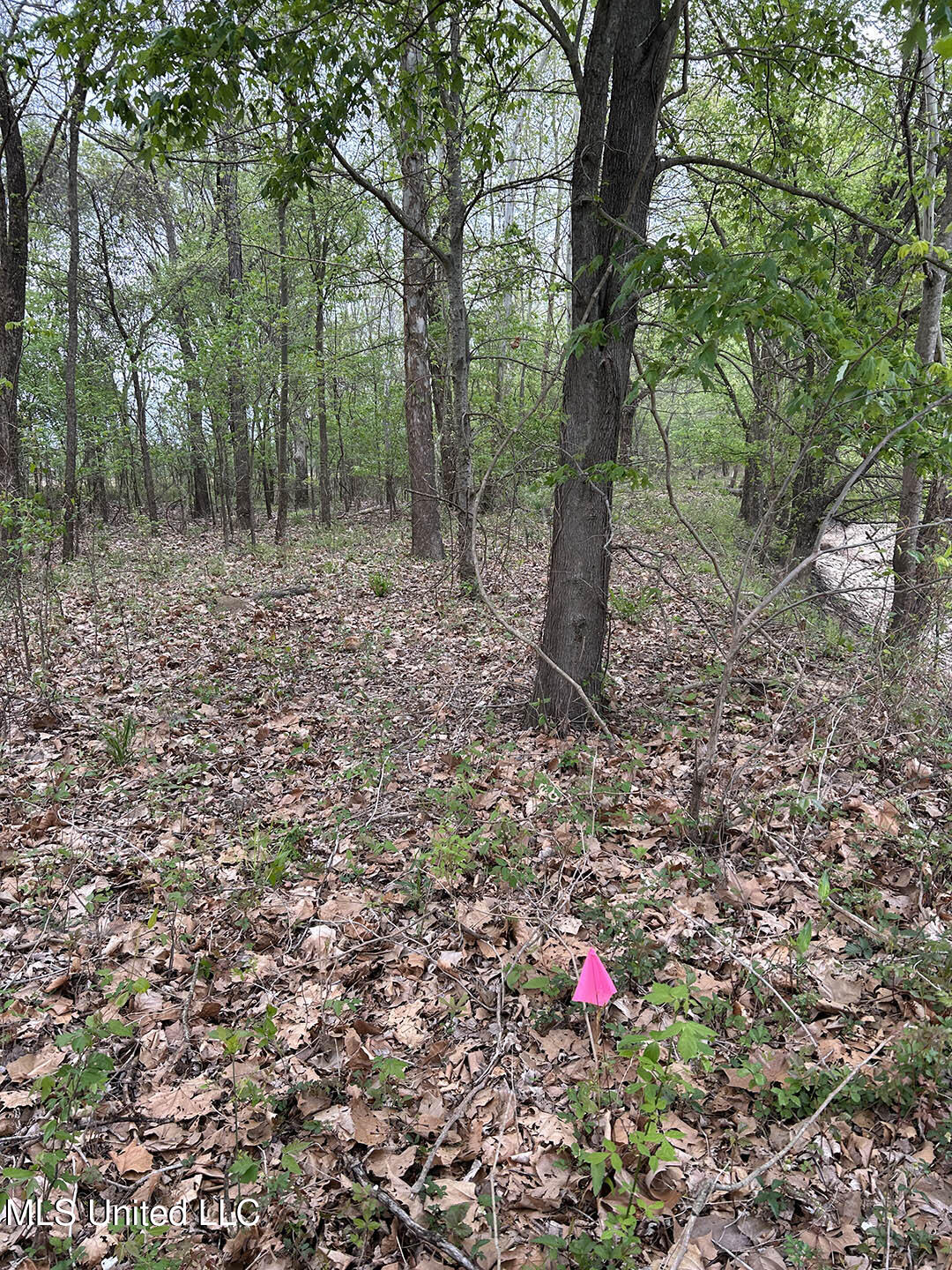 150 County Road Greenwood, MS 38930 - Photo 18 of 18 IMG_8699-1