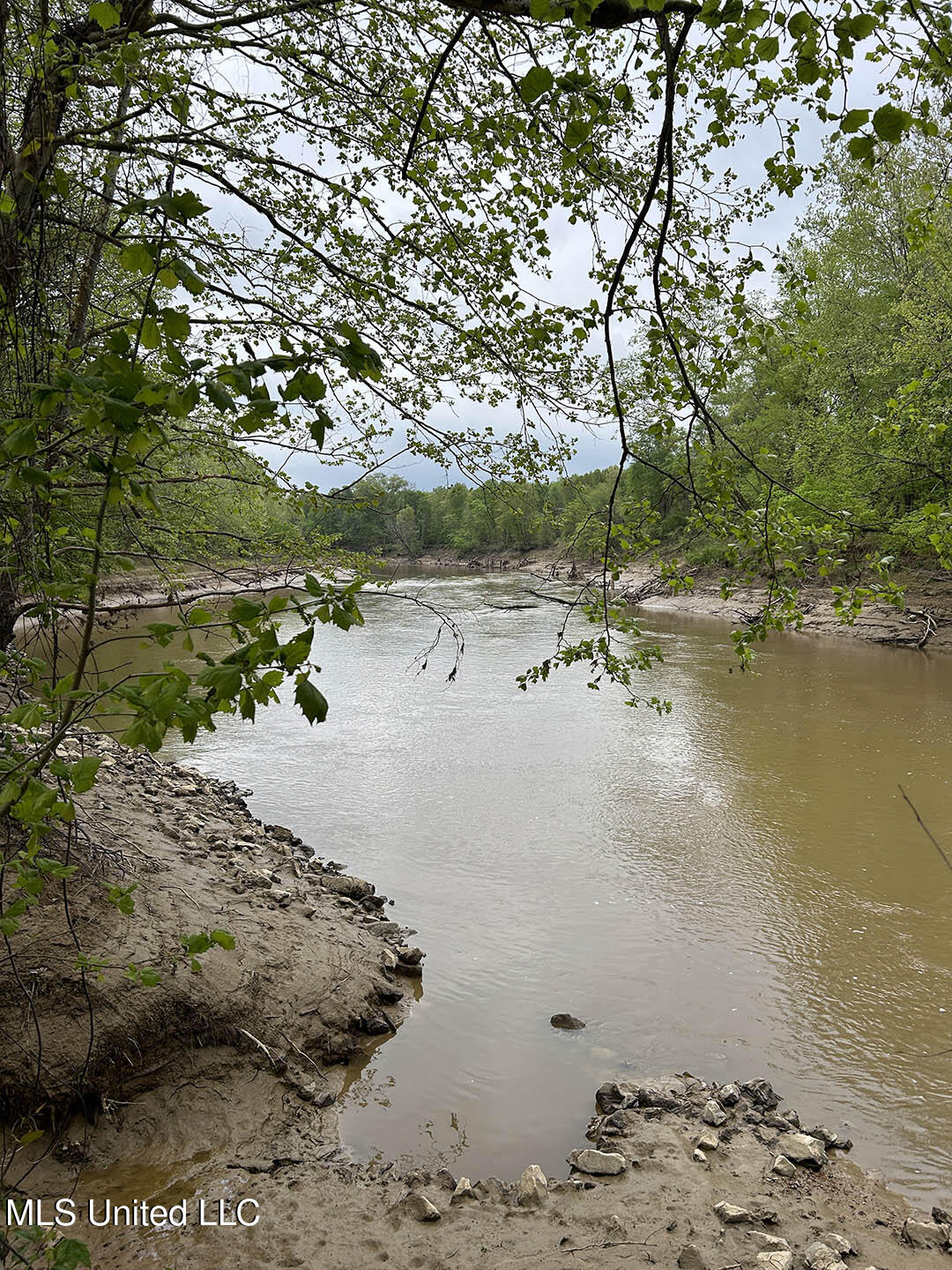 150 County Road Greenwood, MS 38930 - Photo 2 of 18 COVER-OPTION-1