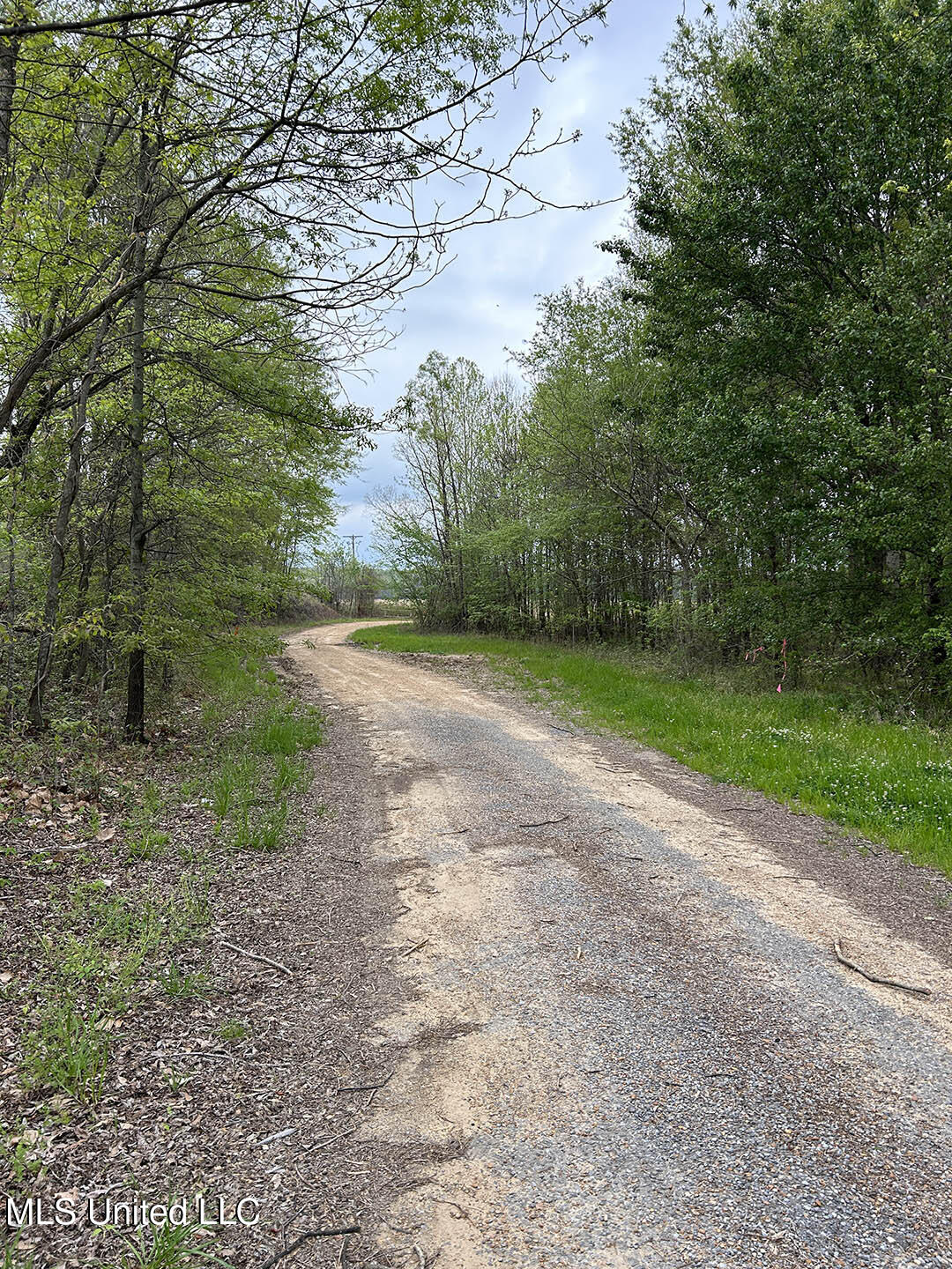 150 County Road Greenwood, MS 38930 - Photo 3 of 18 COVER-OPTION-2