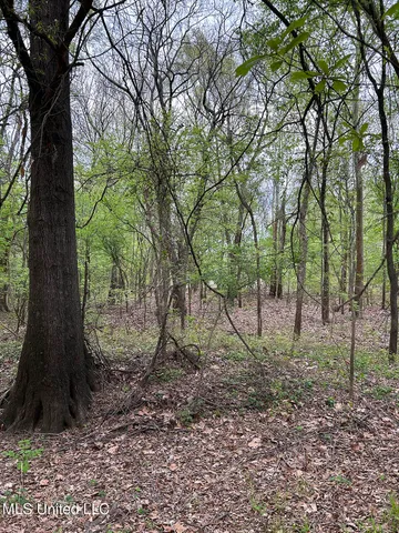 $87,500 | 150 County Road, Greenwood, MS 38930