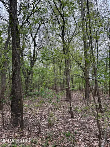 $87,500 | 150 County Road, Greenwood, MS 38930