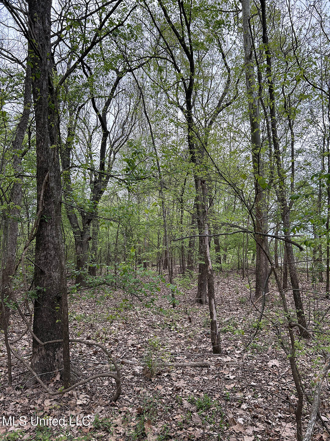 150 County Road Greenwood, MS 38930 - Photo 6 of 18 IMG_8679