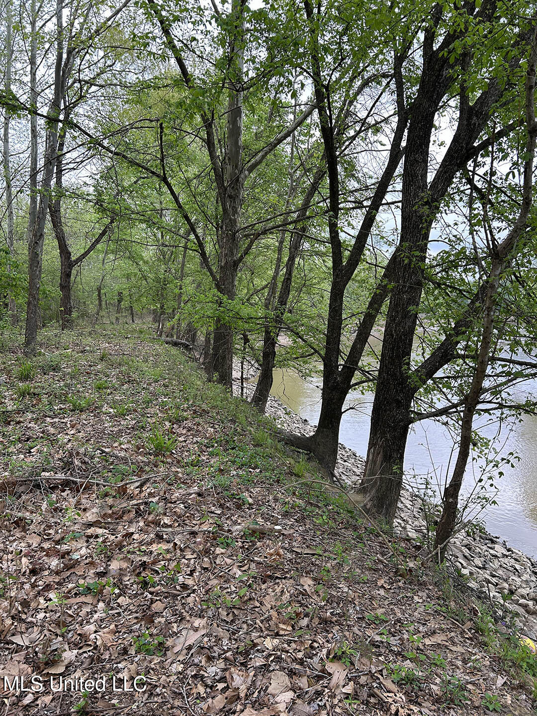 150 County Road Greenwood, MS 38930 - Photo 9 of 18 IMG_8682
