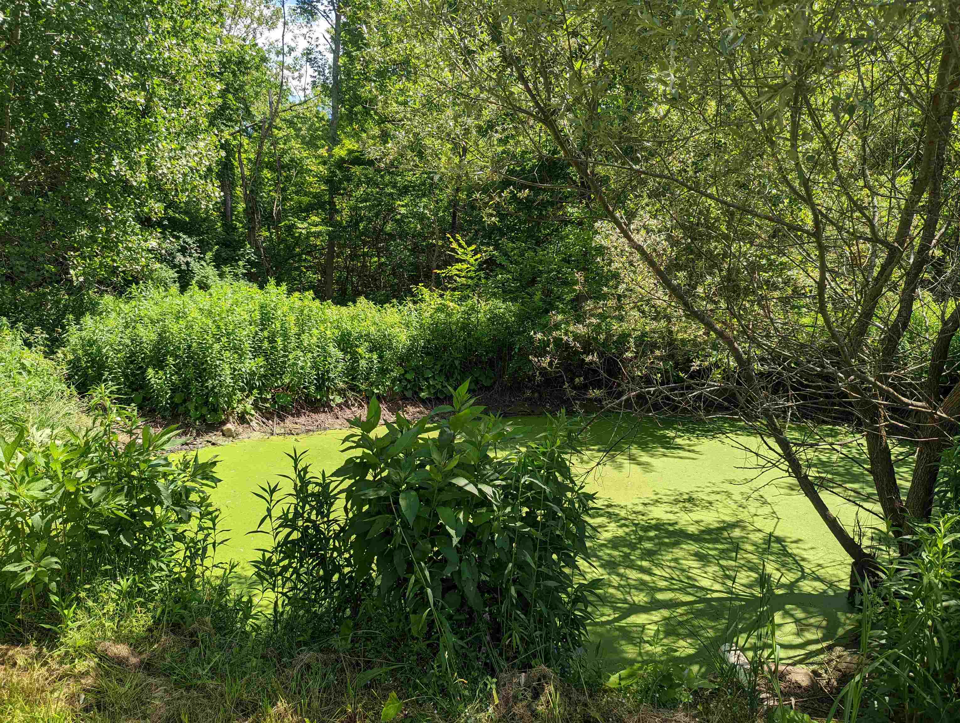 1175 East Road Bennington, VT 05201 - Photo 10 of 12