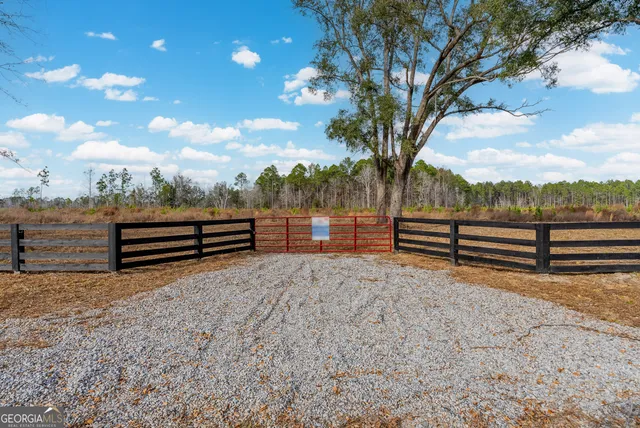 a view of backyard and trees