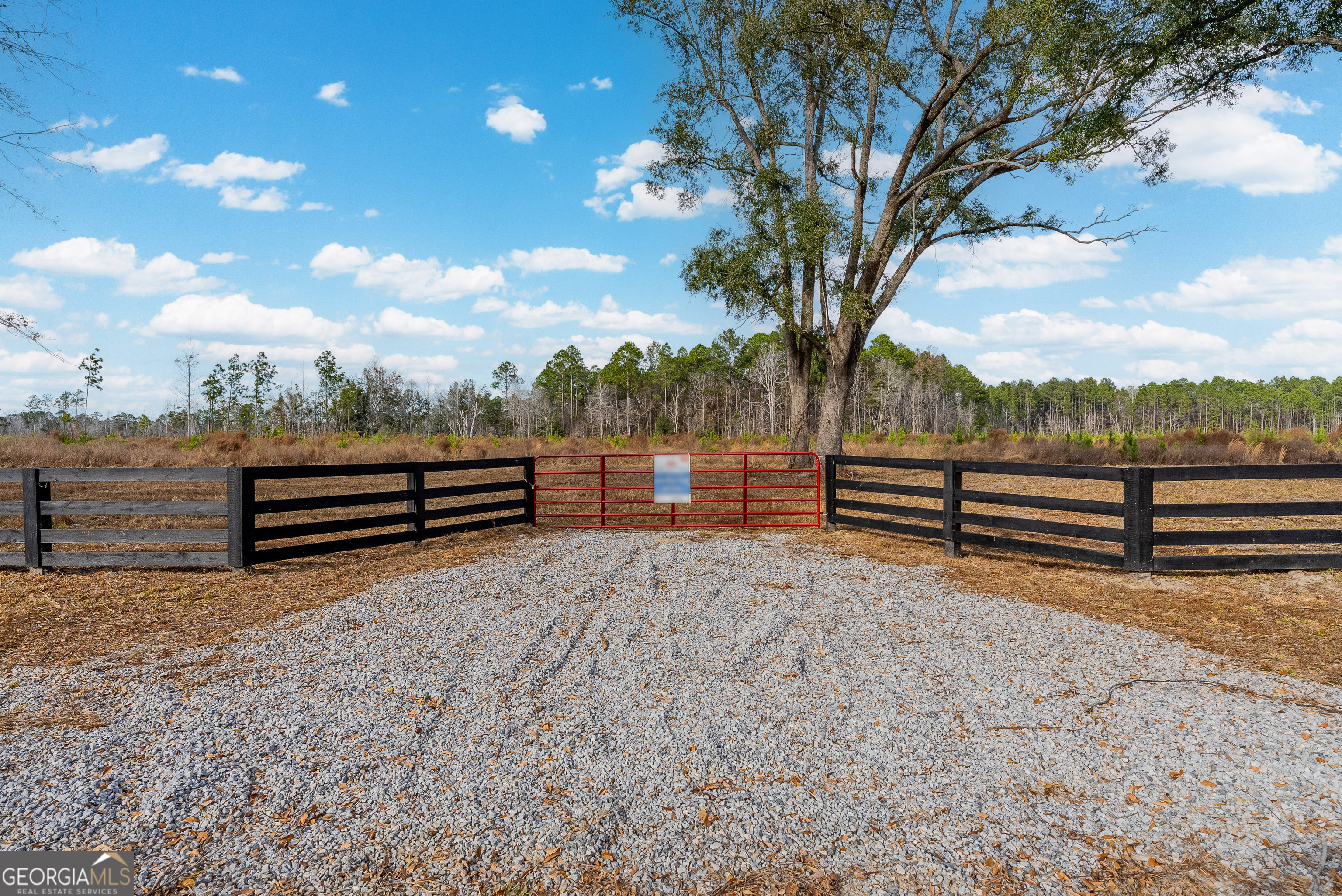 Lot 15 Bennett Grooms Road Brooklet, GA 30415 - Photo 3 of 3