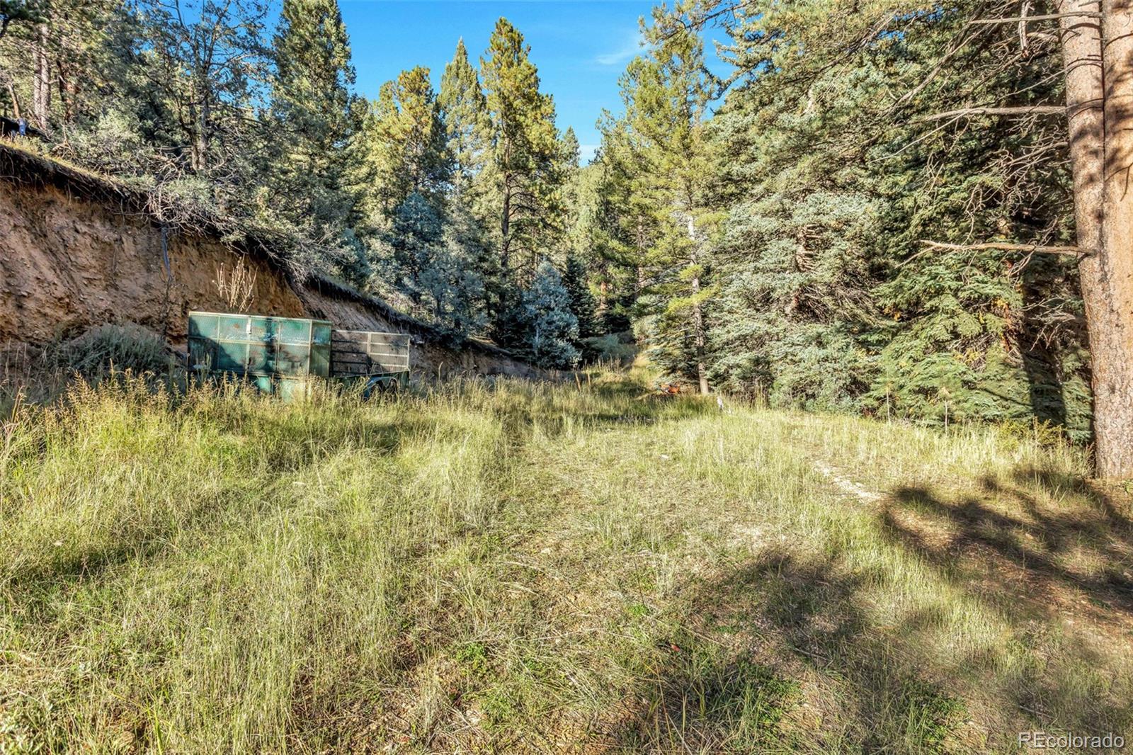 13550 South Foxton Road Conifer, CO 80433 - Photo 42 of 48