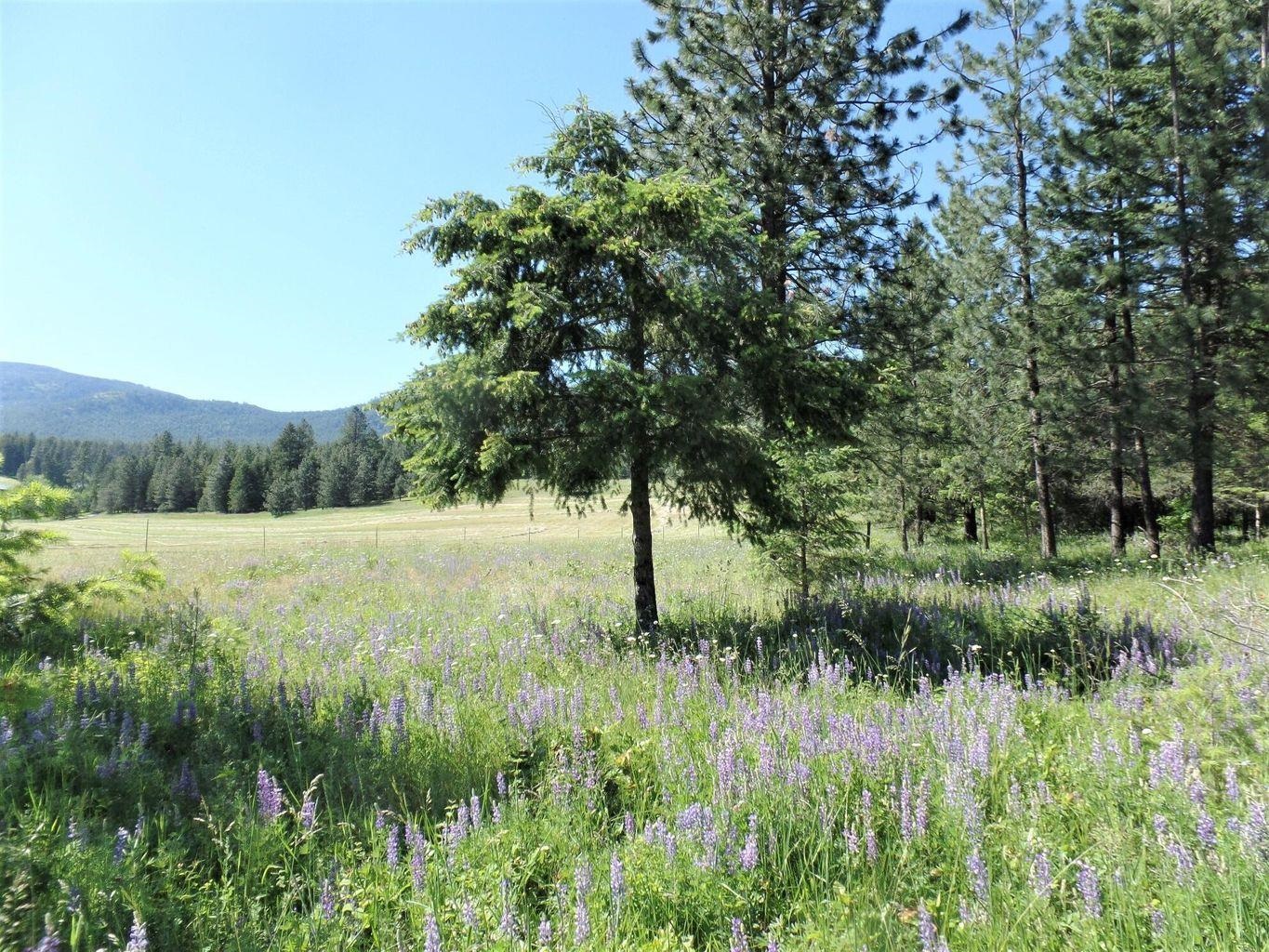 944 C Bentley Road Colville, WA 99114 - Photo 29 of 47 Gallery Image 29