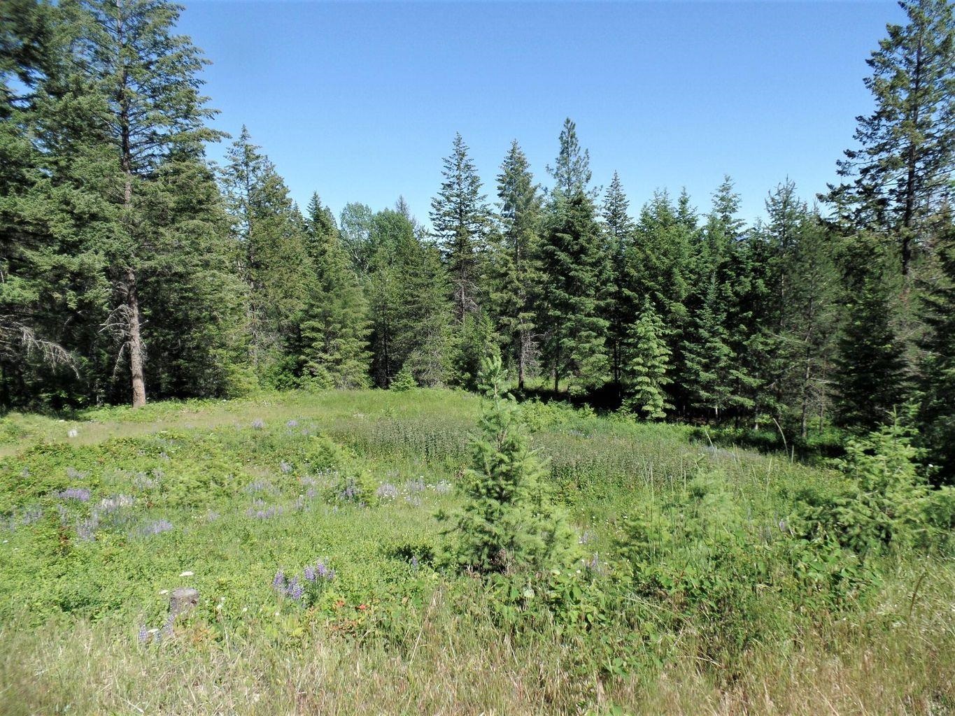 944 C Bentley Road Colville, WA 99114 - Photo 38 of 47 Gallery Image 38
