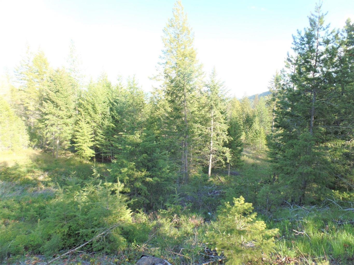 944 C Bentley Road Colville, WA 99114 - Photo 39 of 47 Gallery Image 39