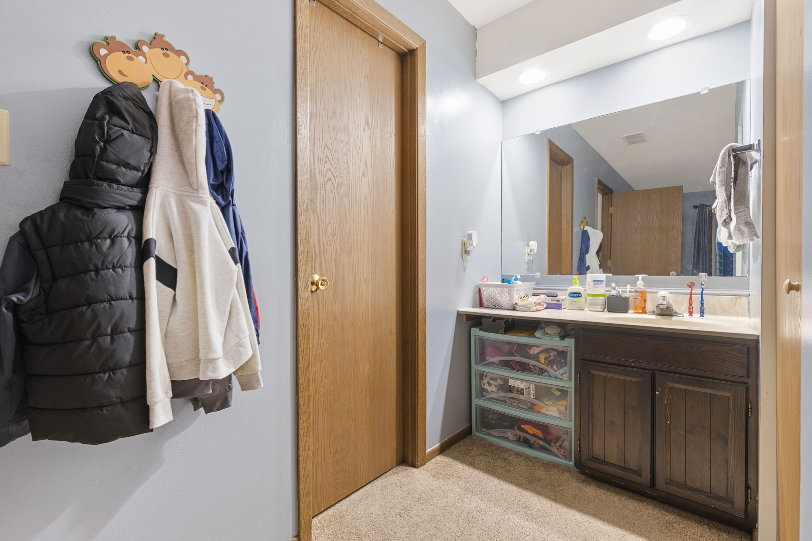 1723 Cedarbrook Court Sycamore, IL 60178 - Photo 9 of 11 a bathroom with a sink and a mirror