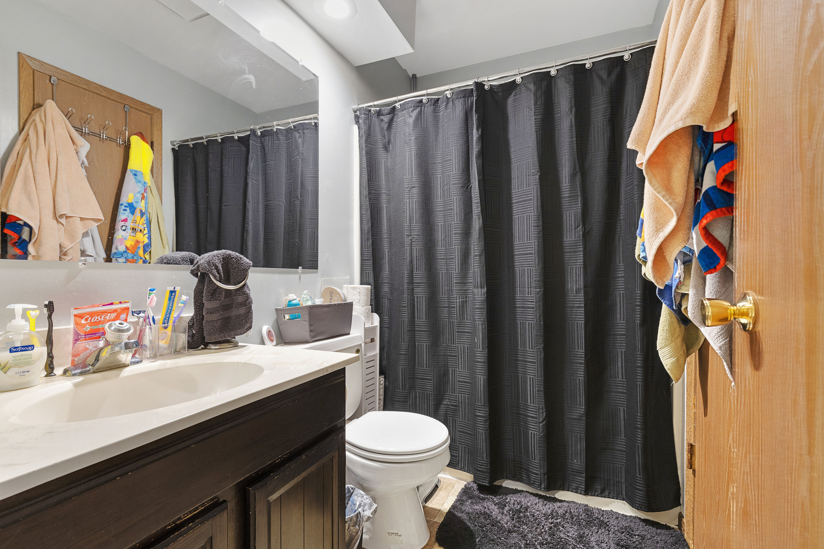 1723 Cedarbrook Court Sycamore, IL 60178 - Photo 10 of 11 a bathroom with a sink a toilet and shower curtain