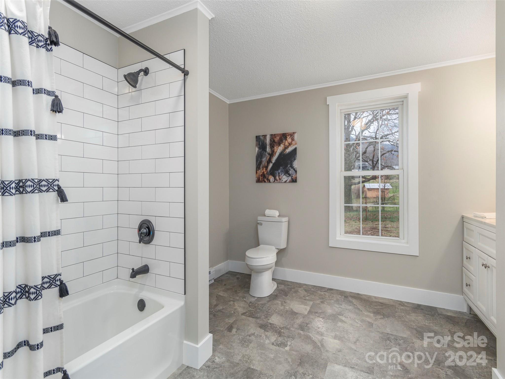 65 Squaw Ridge Road Waynesville, NC 28786 - Photo 7 of 24 a bathroom with a toilet and a bathtub
