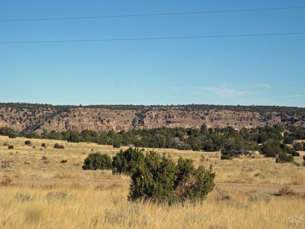 Lot 101 Turkey Ridge Ranch Walsenburg, CO 81089 - Photo 26 of 47