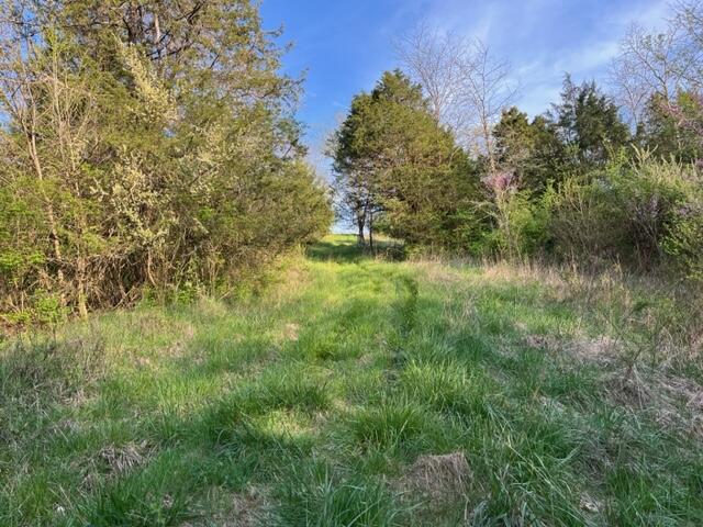 413 Fisher Road Foster, KY 41043 - Photo 23 of 33 Gallery Image 23