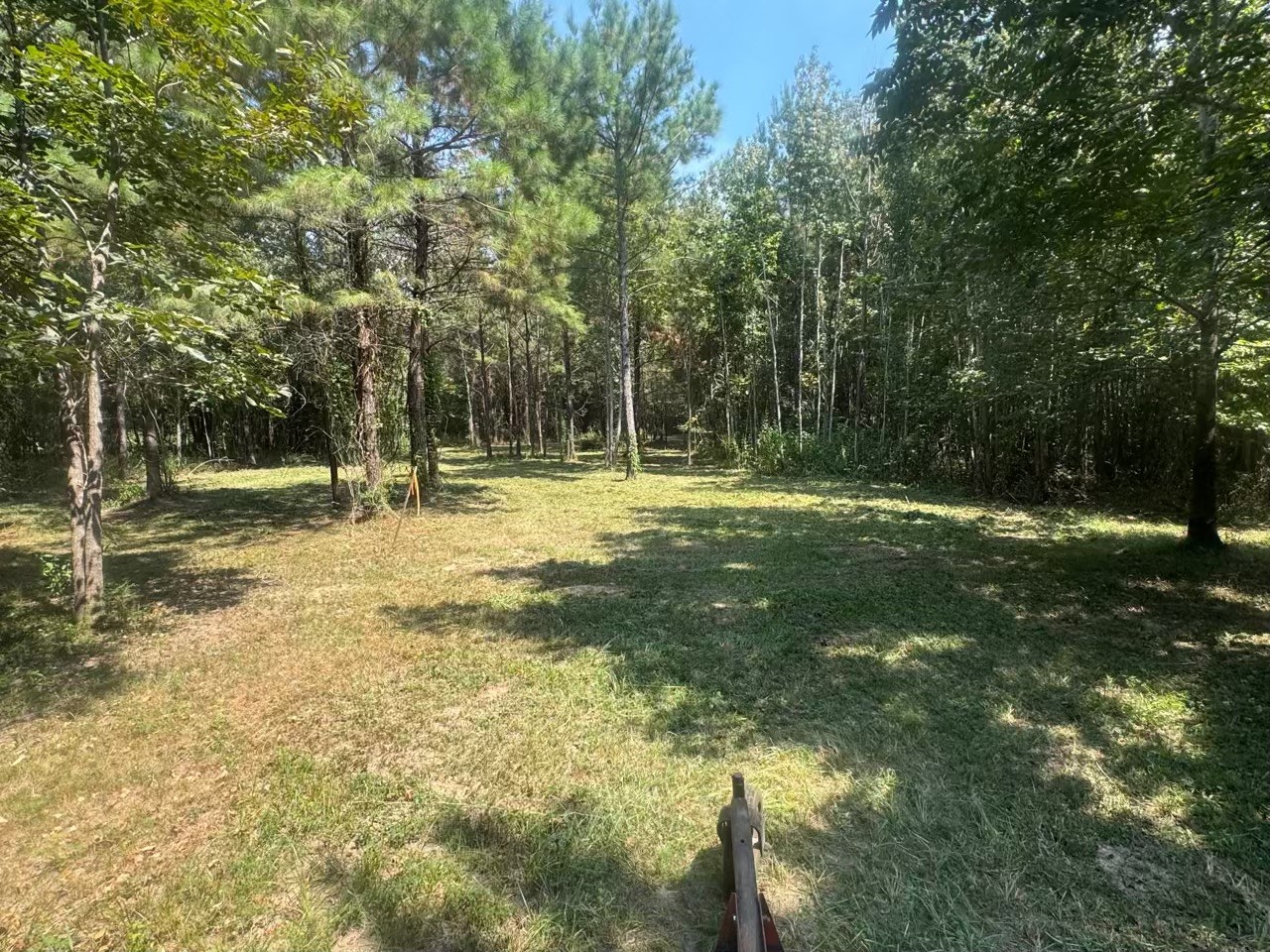 Tbd Tbd Fm-223 Shepherd, TX 77371 - Photo 1 of 3 a view of outdoor space with trees
