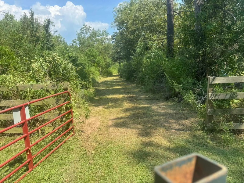Tbd Tbd Fm-223 Shepherd, TX 77371 - Photo 2 of 3 a view of swimming pool from a yard
