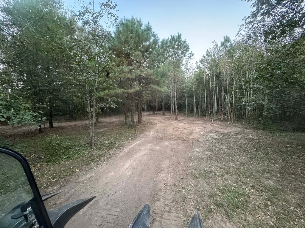 Tbd Tbd Fm-223 Shepherd, TX 77371 - Photo 3 of 3 a view of outdoor space with trees