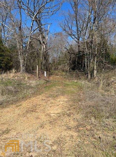 0 Christmas Tree Road, Unit LOT 10 Homer, GA 30547 - Photo 1 of 1 a view of a yard with a tree