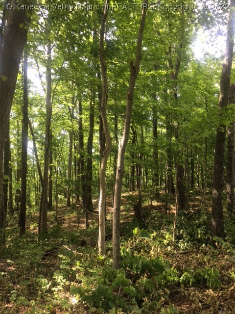 0 Starlight Road Alum Creek, WV 25003 - Photo 2 of 2 Gallery Image 2