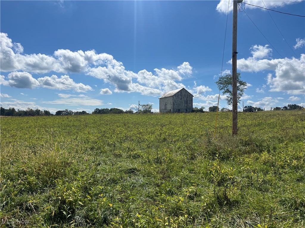71330 Old Twenty One Road Kimbolton, OH 43749 - Photo 18 of 49