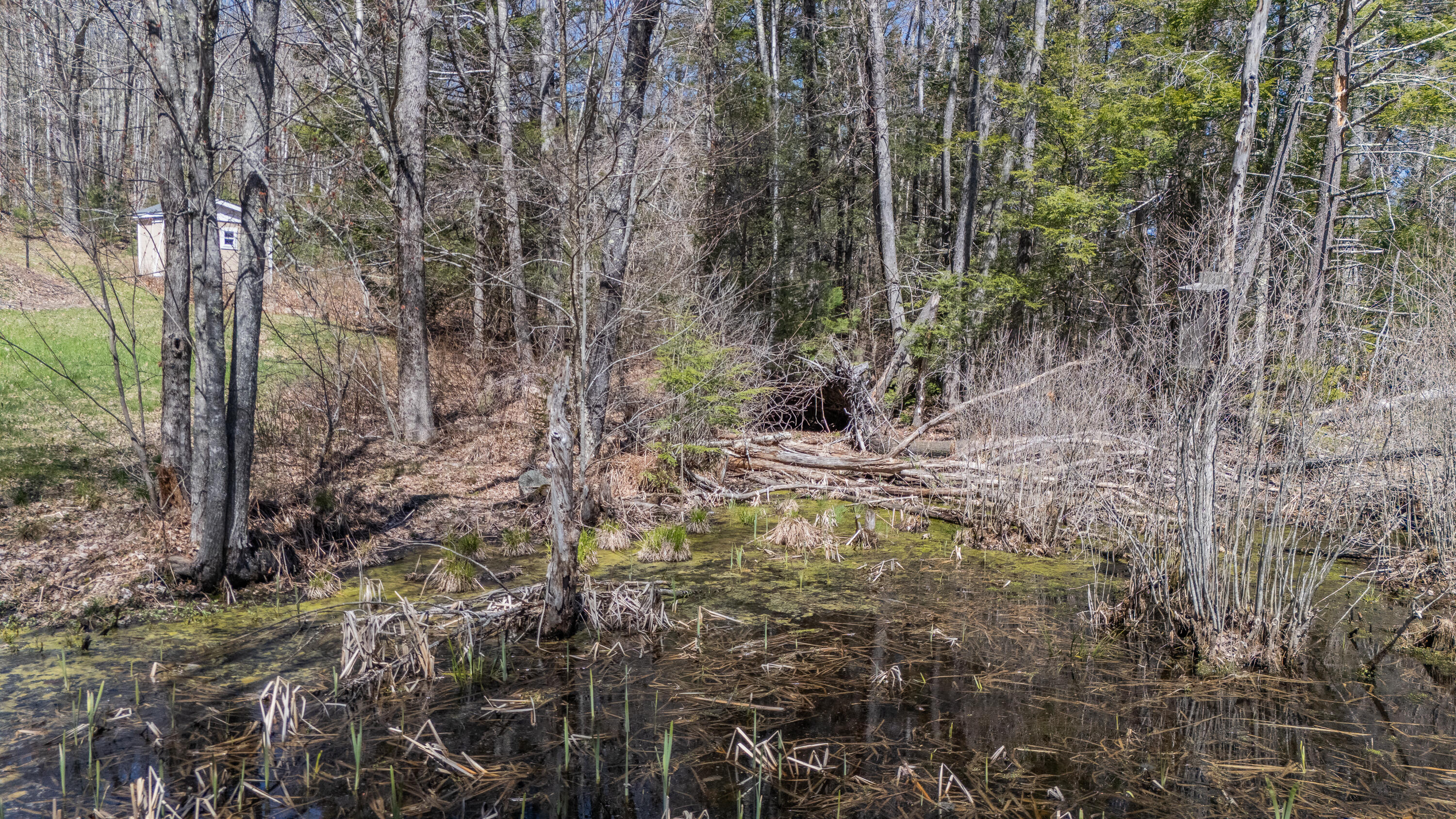 232 Mc Kay Road Edgecomb, ME 04556 - Photo 56 of 68 232 McKay Road Edgecomb 056
