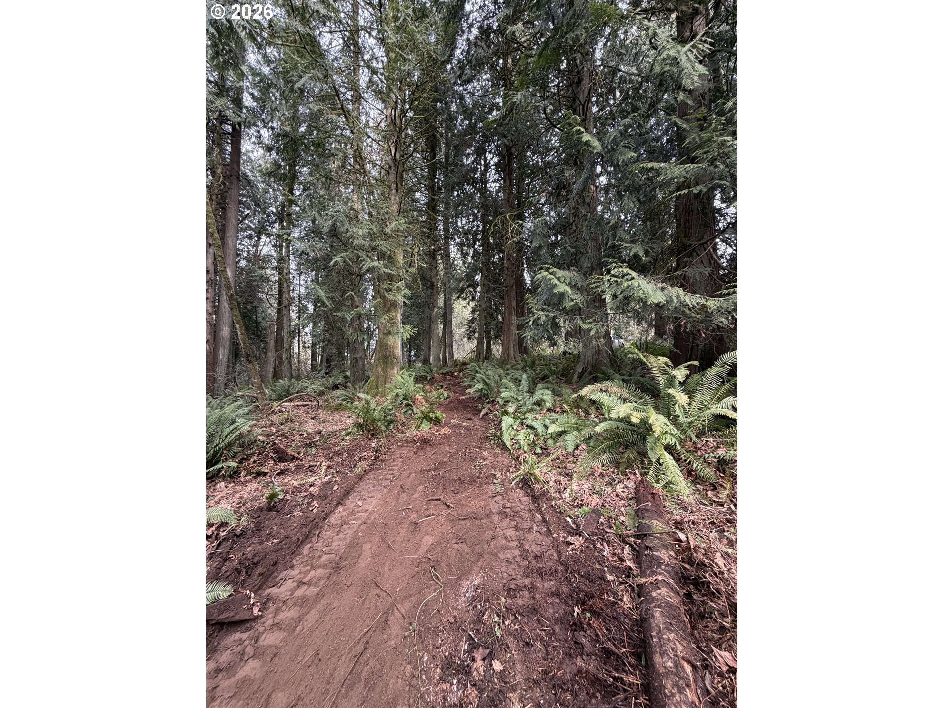 Meserve Road Rainier, OR 97048 - Photo 3 of 16