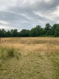 Sperry Road Vermilion, OH 44089 - Photo 4 of 13 View of nature