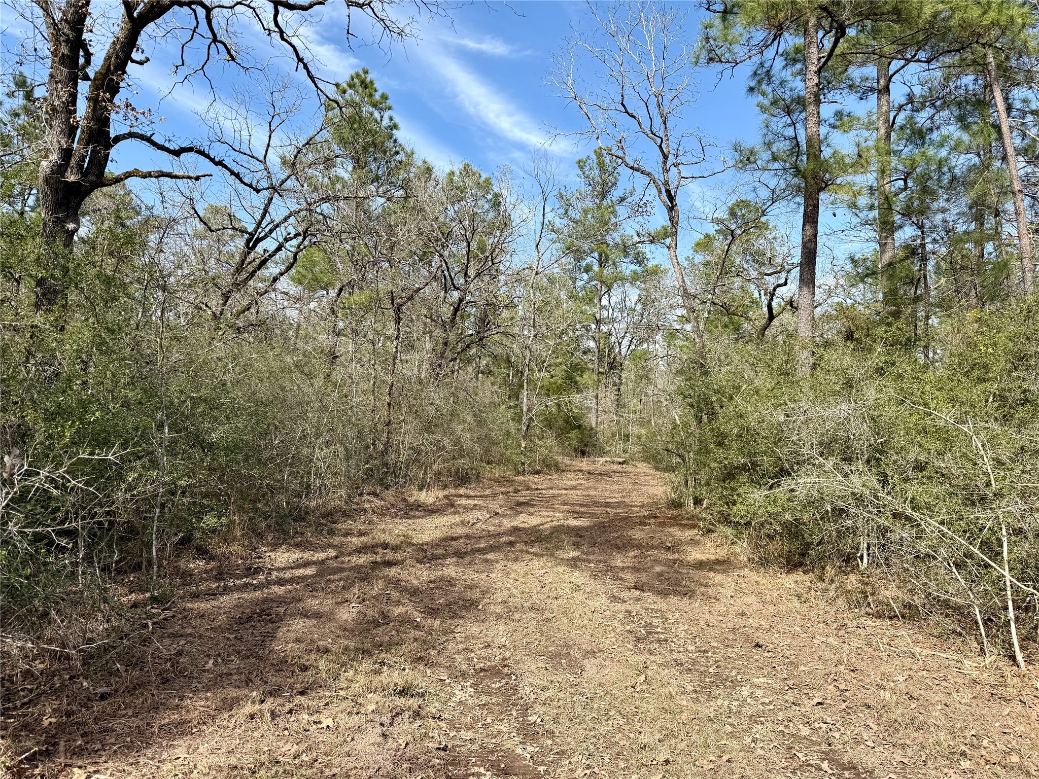 Tbd Round Prairie Road Huntsville, TX 77320 - Photo 12 of 25