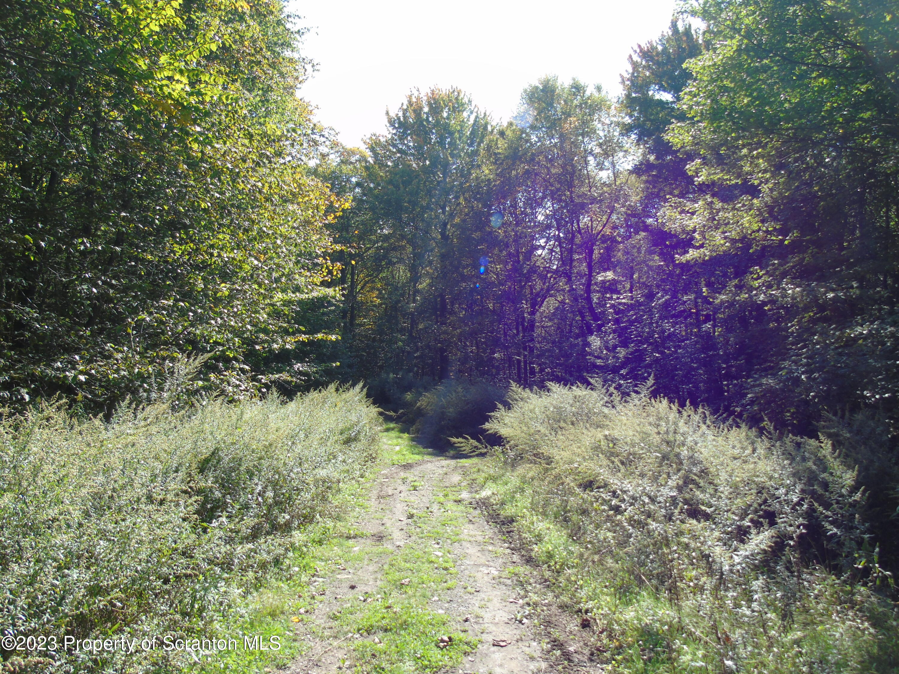 Hilltop Road Moscow, PA 18444 - Photo 12 of 17 a backyard of a house