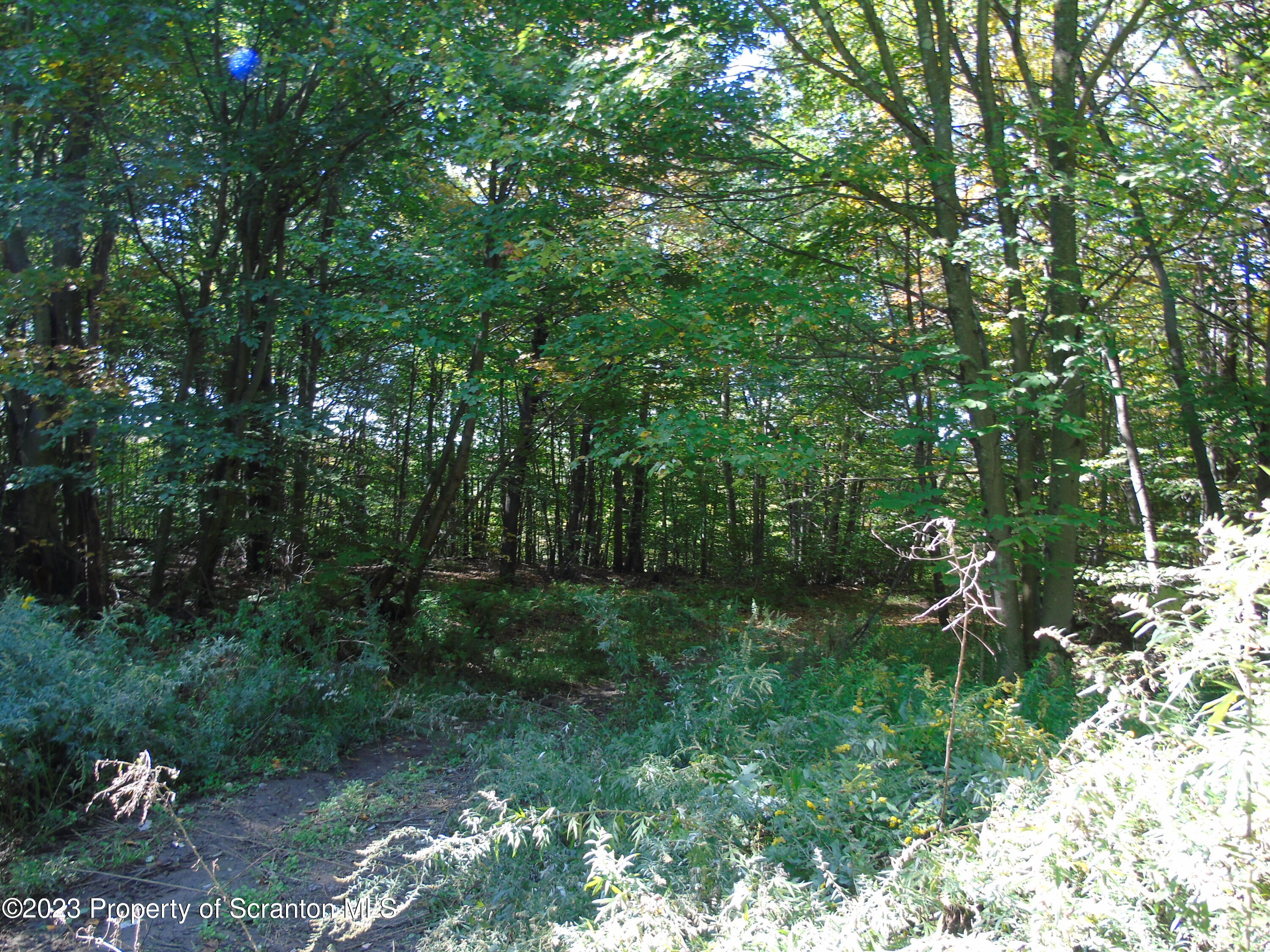 Hilltop Road Moscow, PA 18444 - Photo 17 of 17 a backyard of a house with lots of green space and a fountain