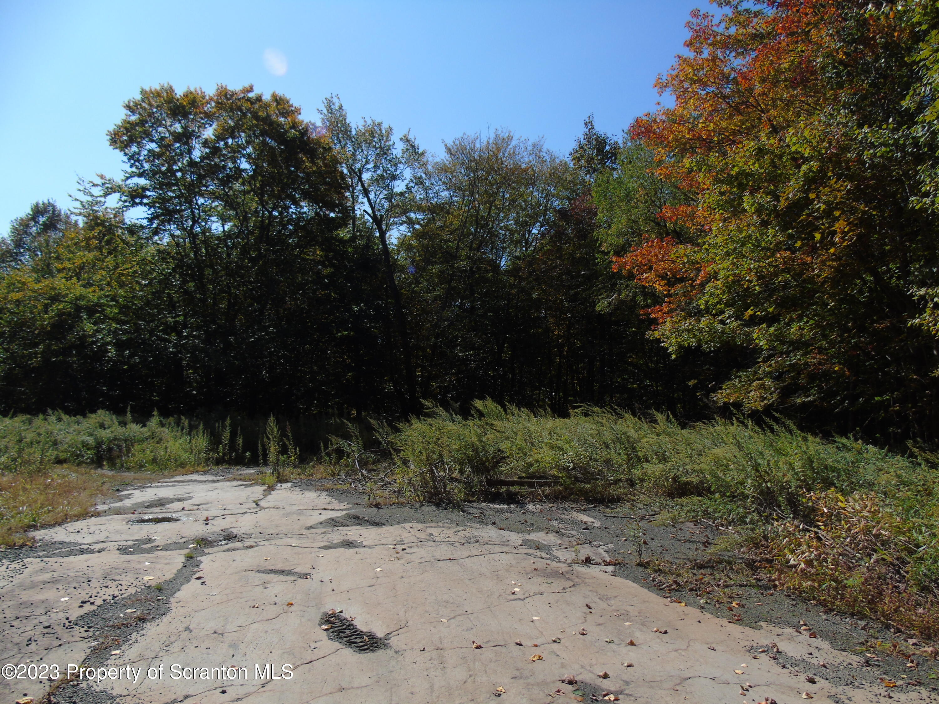 Hilltop Road Moscow, PA 18444 - Photo 2 of 17 a view of backyard with green space