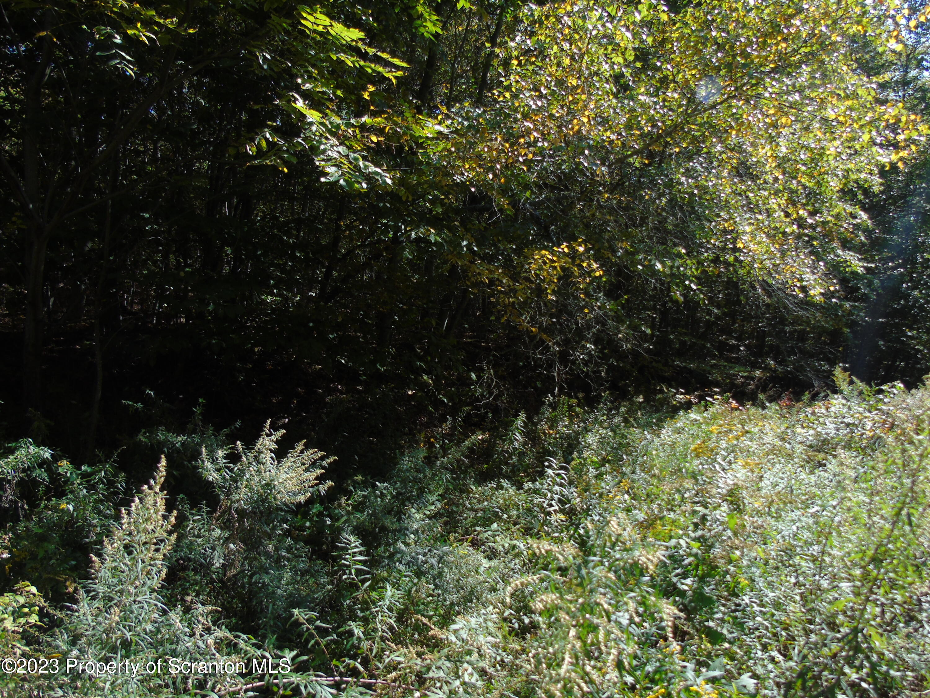 Hilltop Road Moscow, PA 18444 - Photo 7 of 17 a view of a bunch of trees