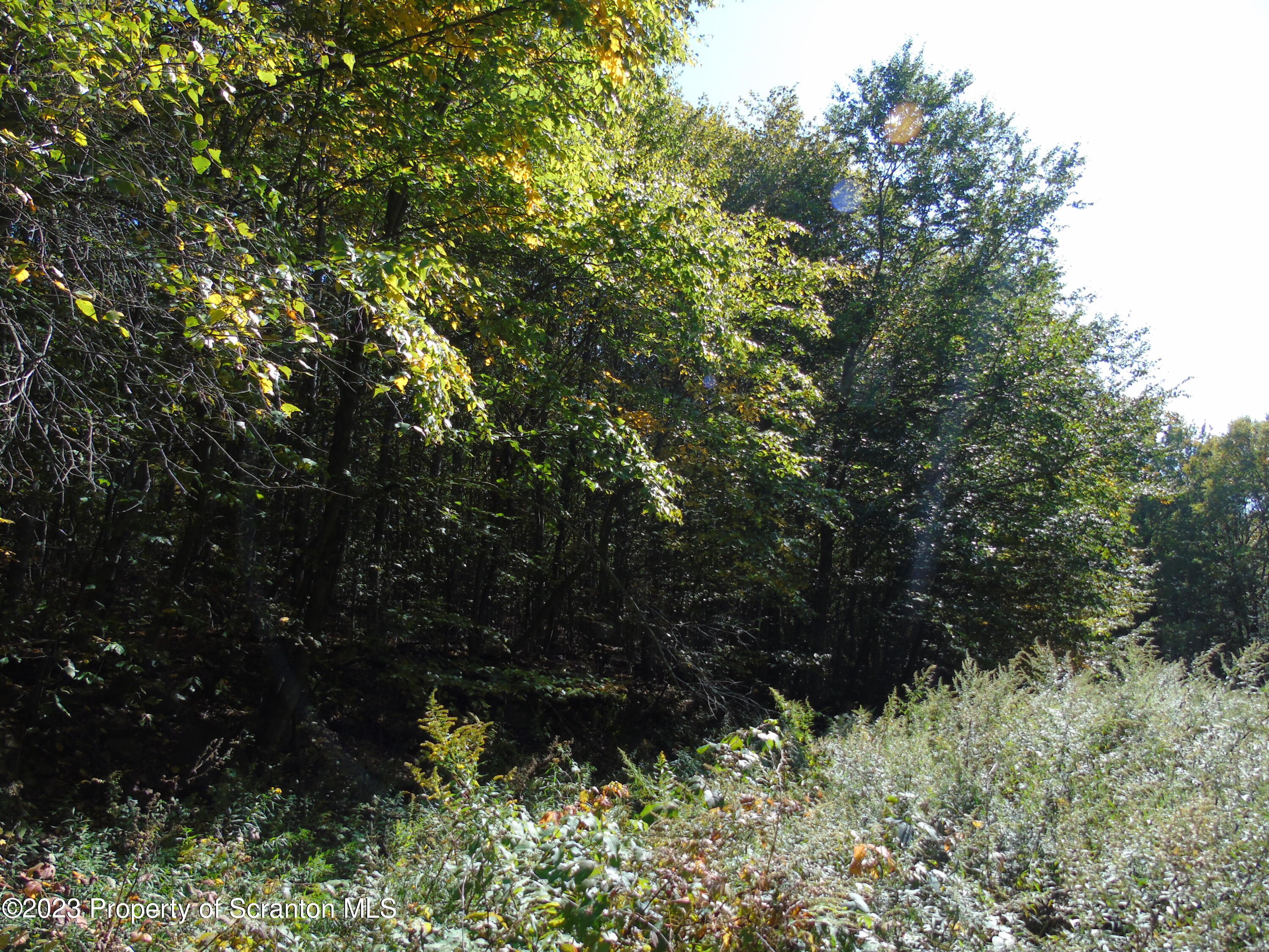 Hilltop Road Moscow, PA 18444 - Photo 10 of 17 a view of a yard