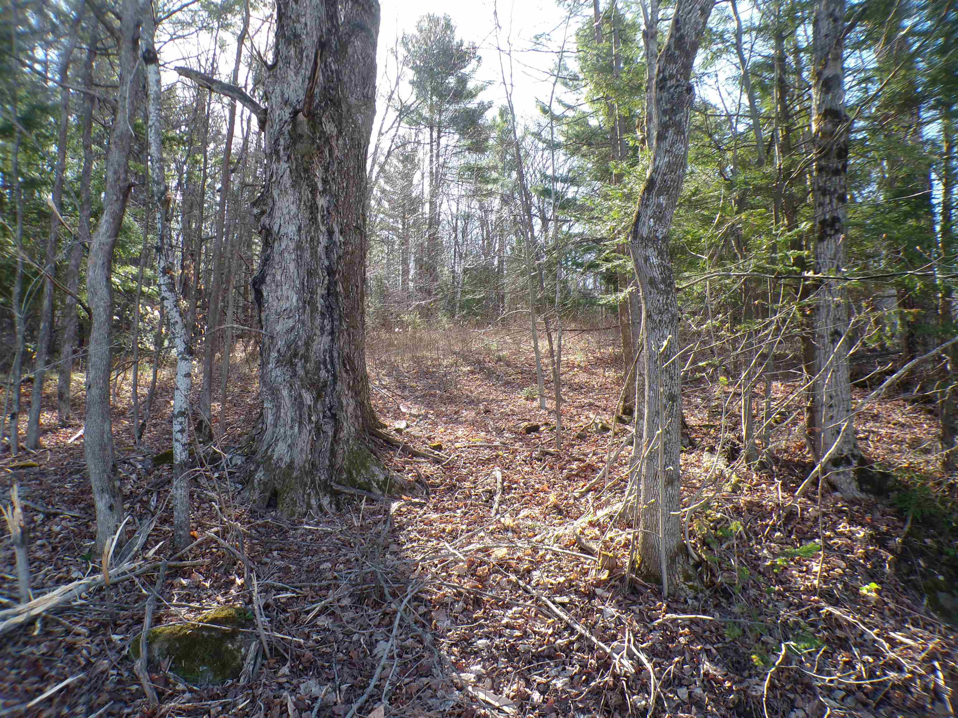 440 Baird Road Barton, VT 05822 - Photo 5 of 11