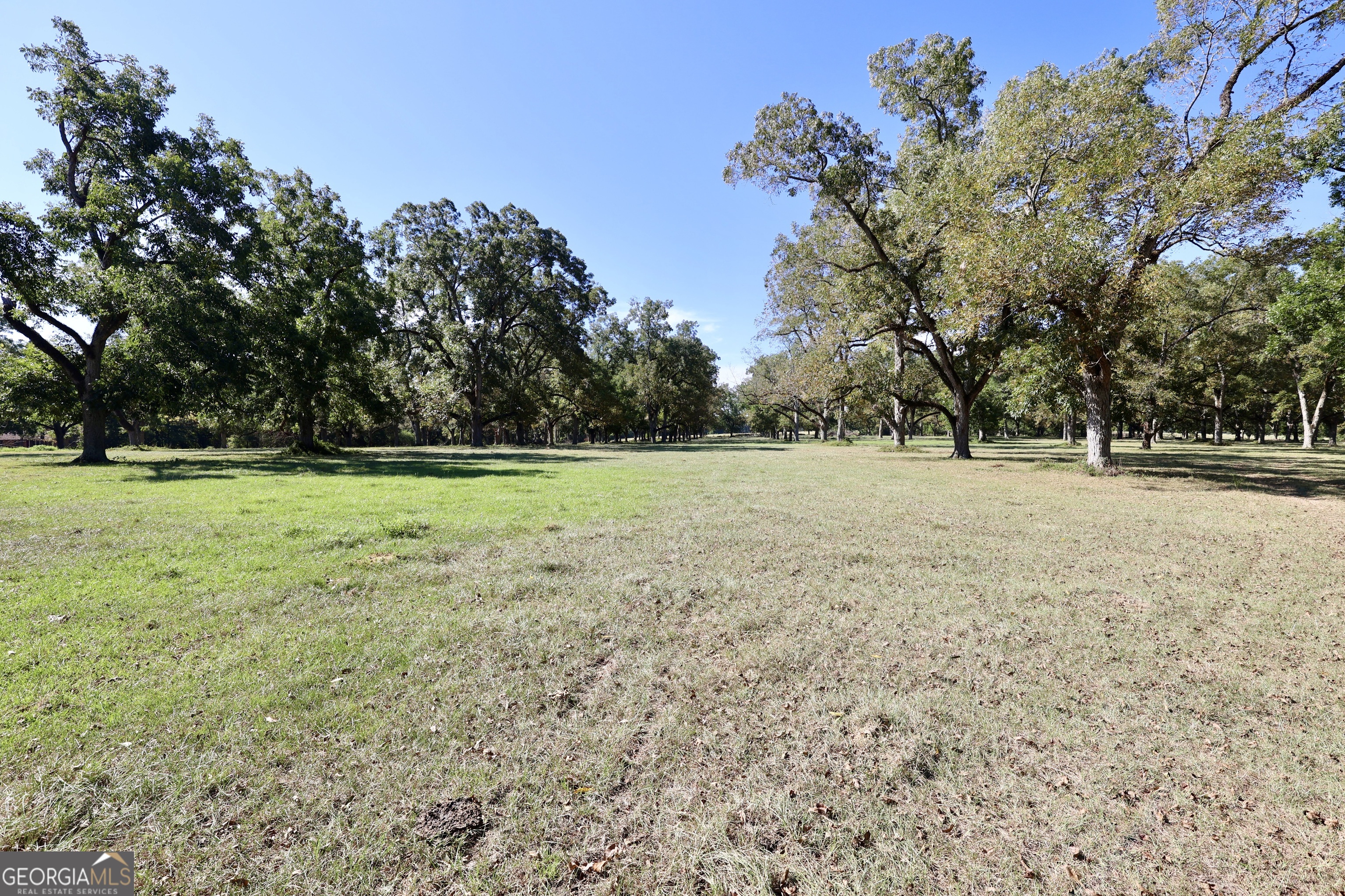 0 20th Street Northeast Cairo, GA 39828 - Photo 11 of 14