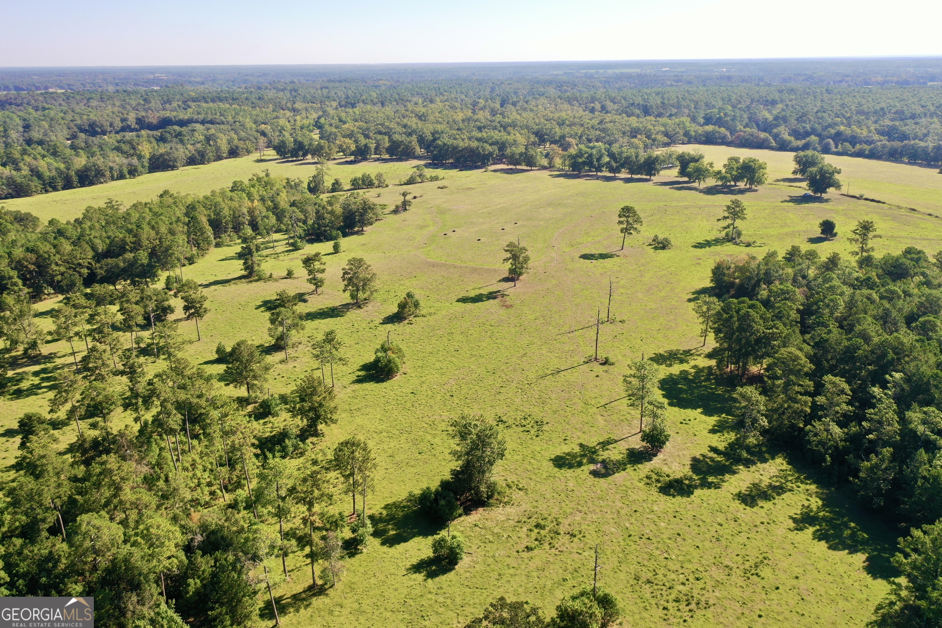 0 20th Street Northeast Cairo, GA 39828 - Photo 3 of 14
