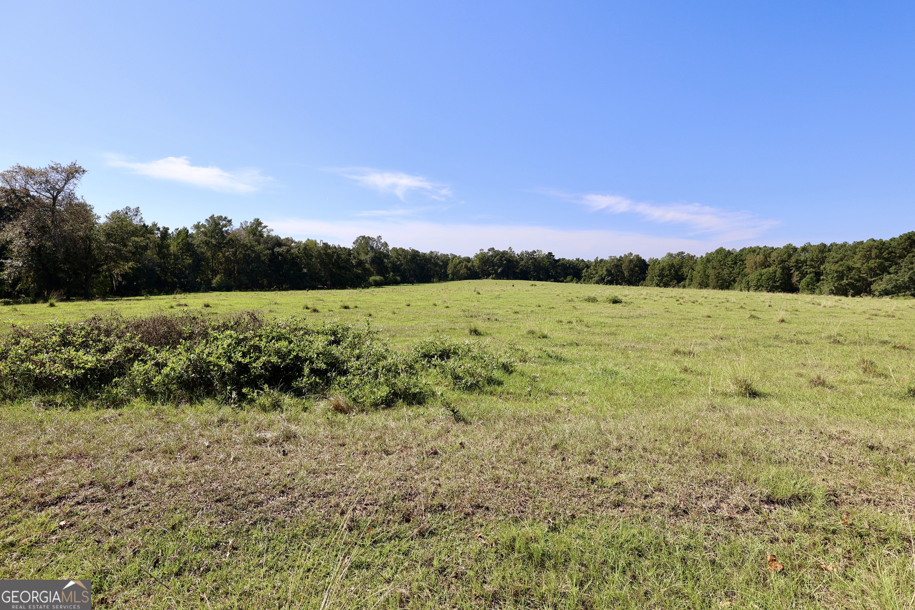 0 20th Street Northeast Cairo, GA 39828 - Photo 9 of 14