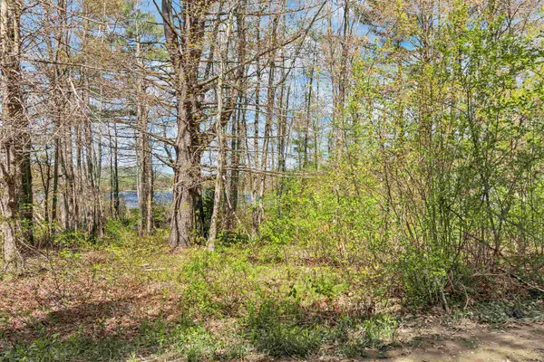 $74,500 | Lot 17 Baxter Place, Alton, NH 03809