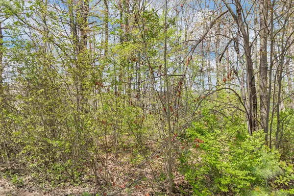 $74,500 | Lot 17 Baxter Place, Alton, NH 03809