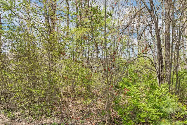 $74,500 | Lot 17 Baxter Place, Alton, NH 03809