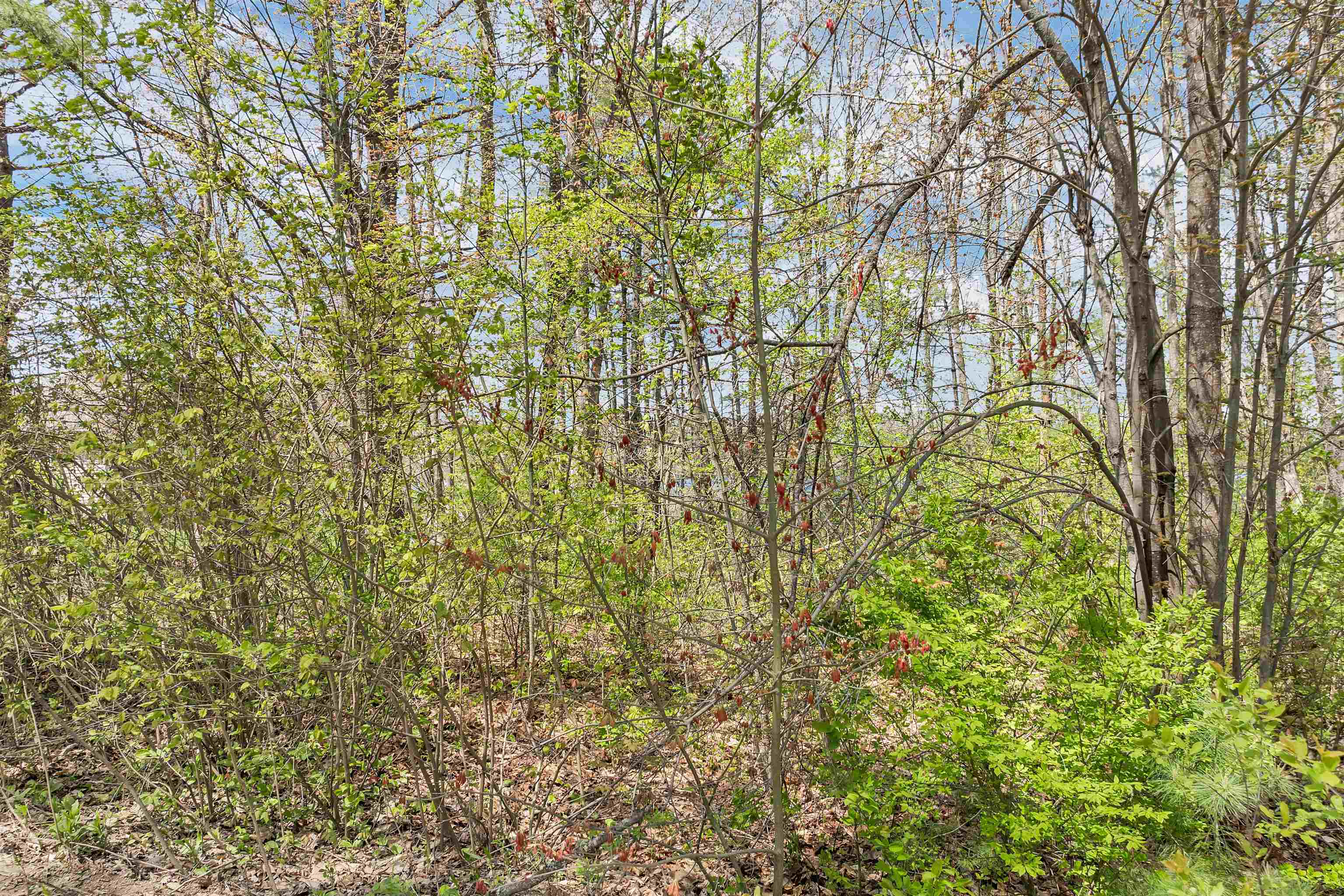 Lot 17 Baxter Place Alton, NH 03809 - Photo 4 of 6