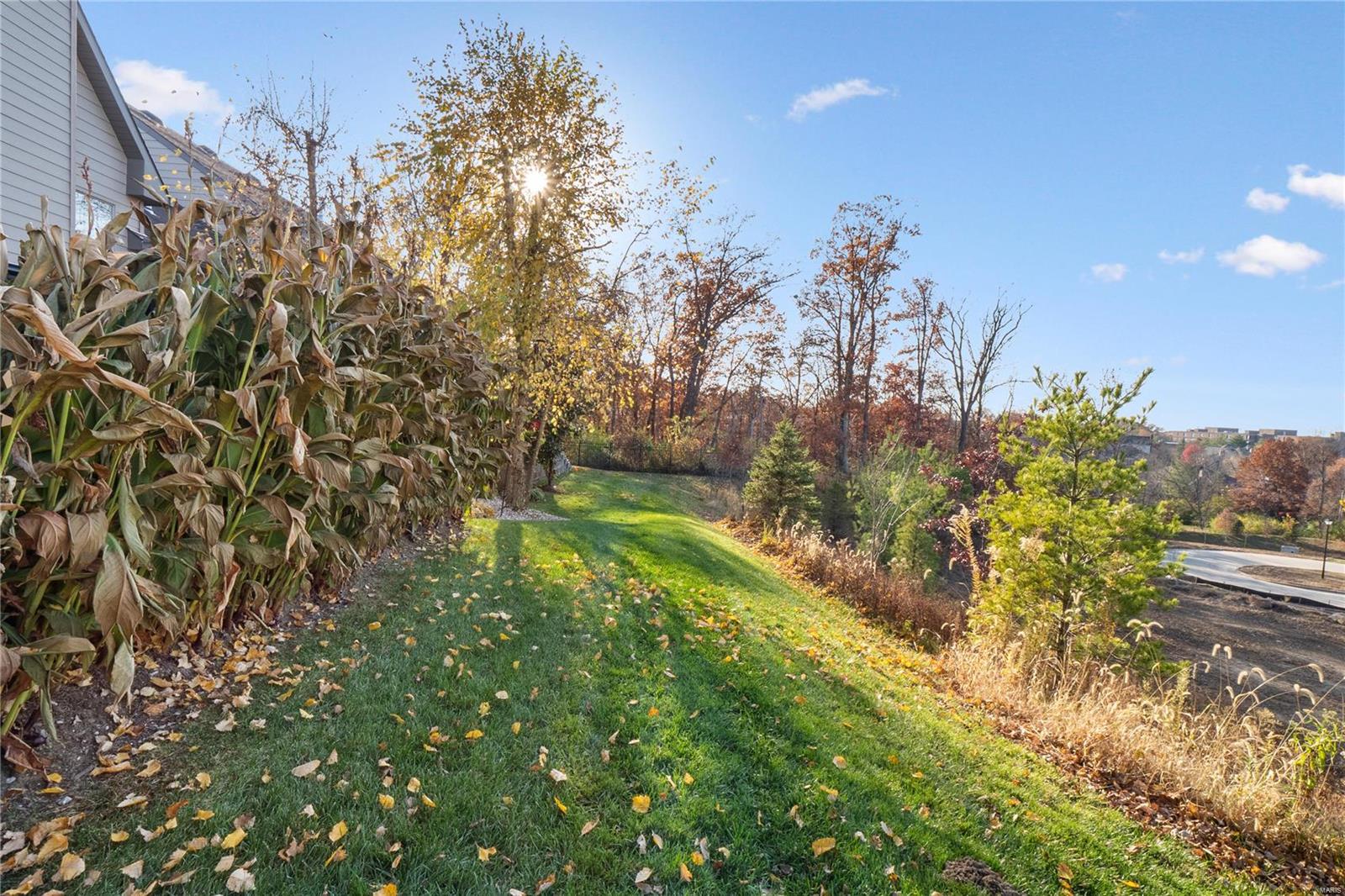 14425 Rue De Gascony Chesterfield, MO 63017 - Photo 51 of 66