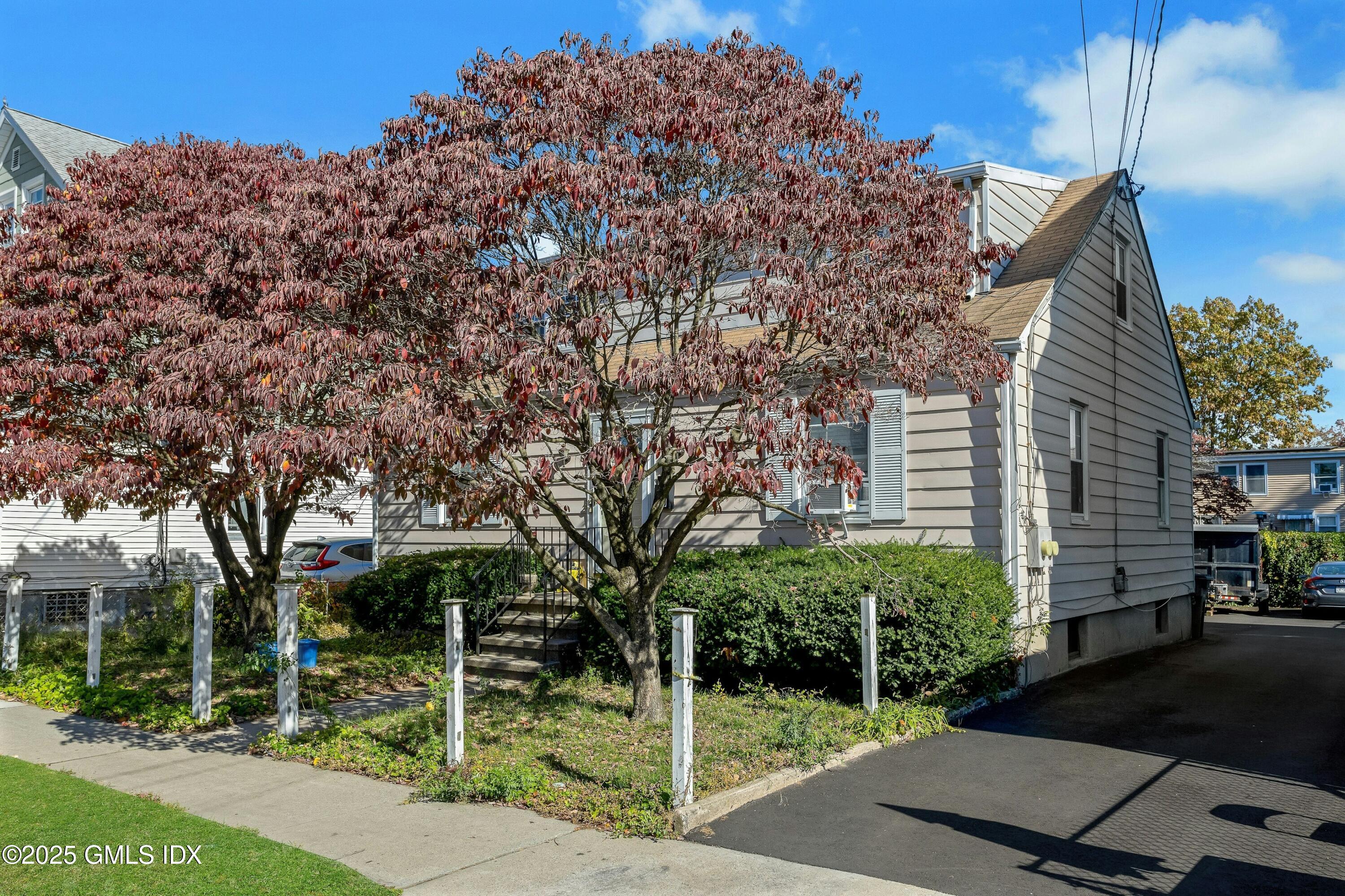 a view of backyard with tree