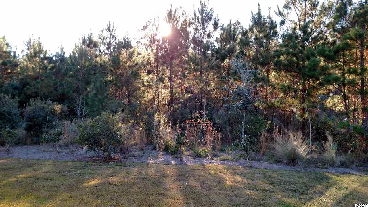 2178 Heritage Loop Myrtle Beach, SC 29577 - Photo 14 of 15 Gallery Image 14